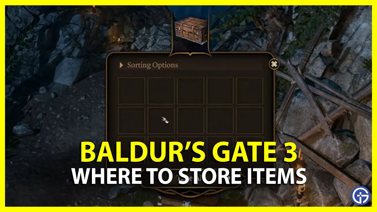 where to store items in baldur's gate 3