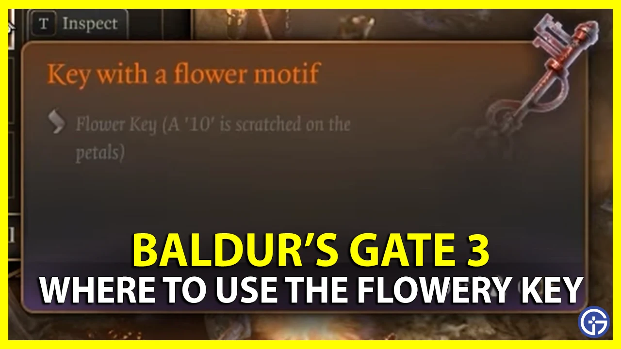 where to use the strange flowery key in baldur's gate 3