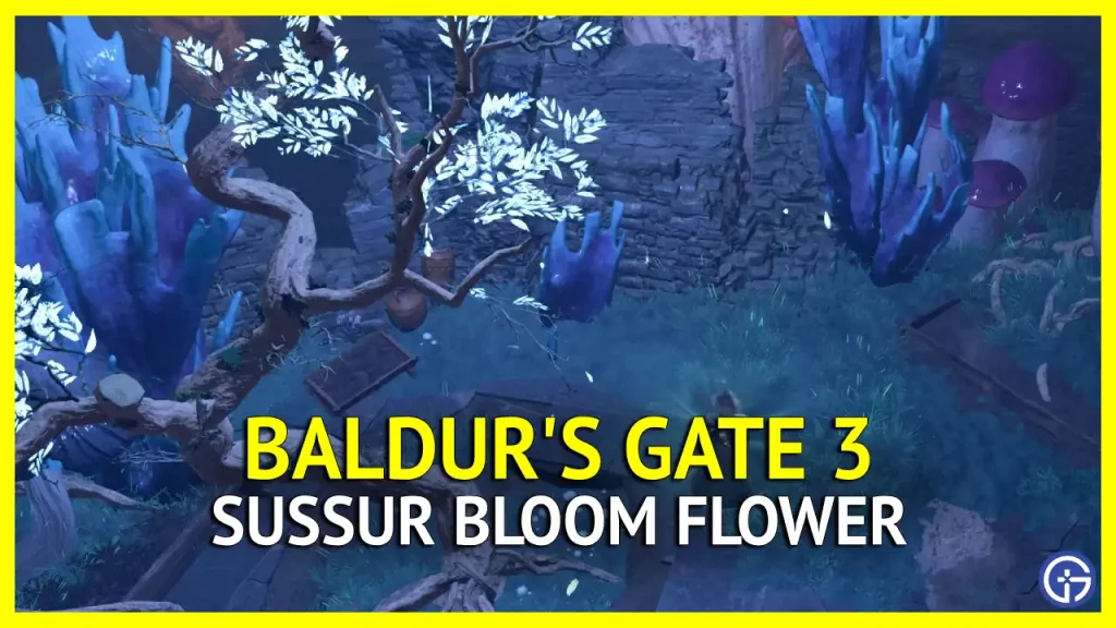 Baldur's Gate: How to Find Sussur Bloom in BG3