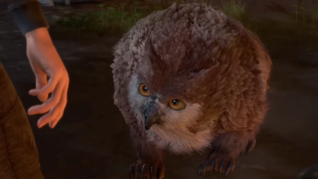 How To Recruit Owlbear Cub In BG3