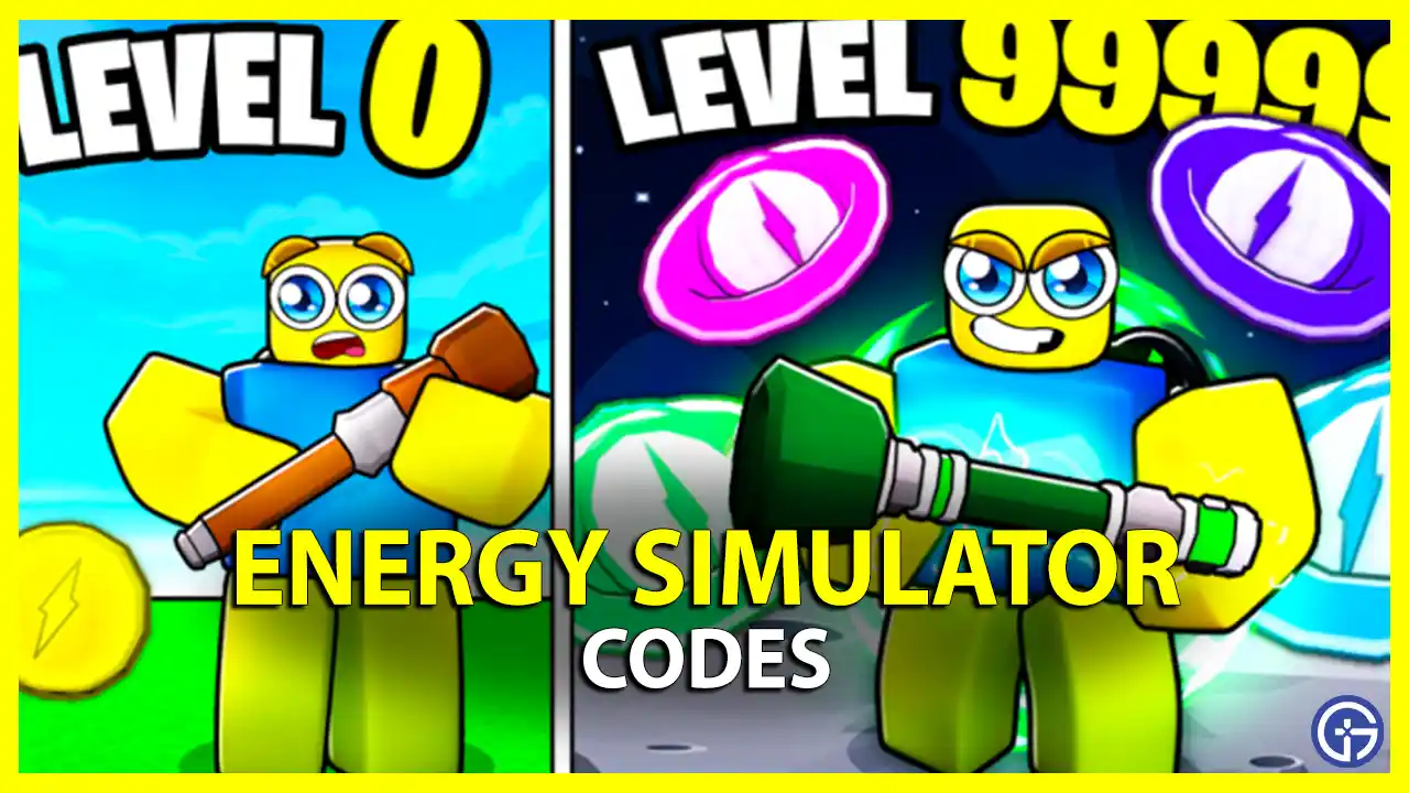 Energy Simulator Codes