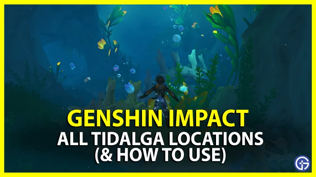 tidalga location genshin impact