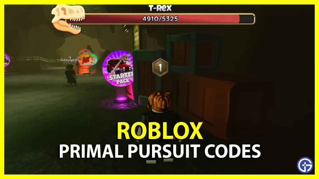 All Primal Pursuit Codes