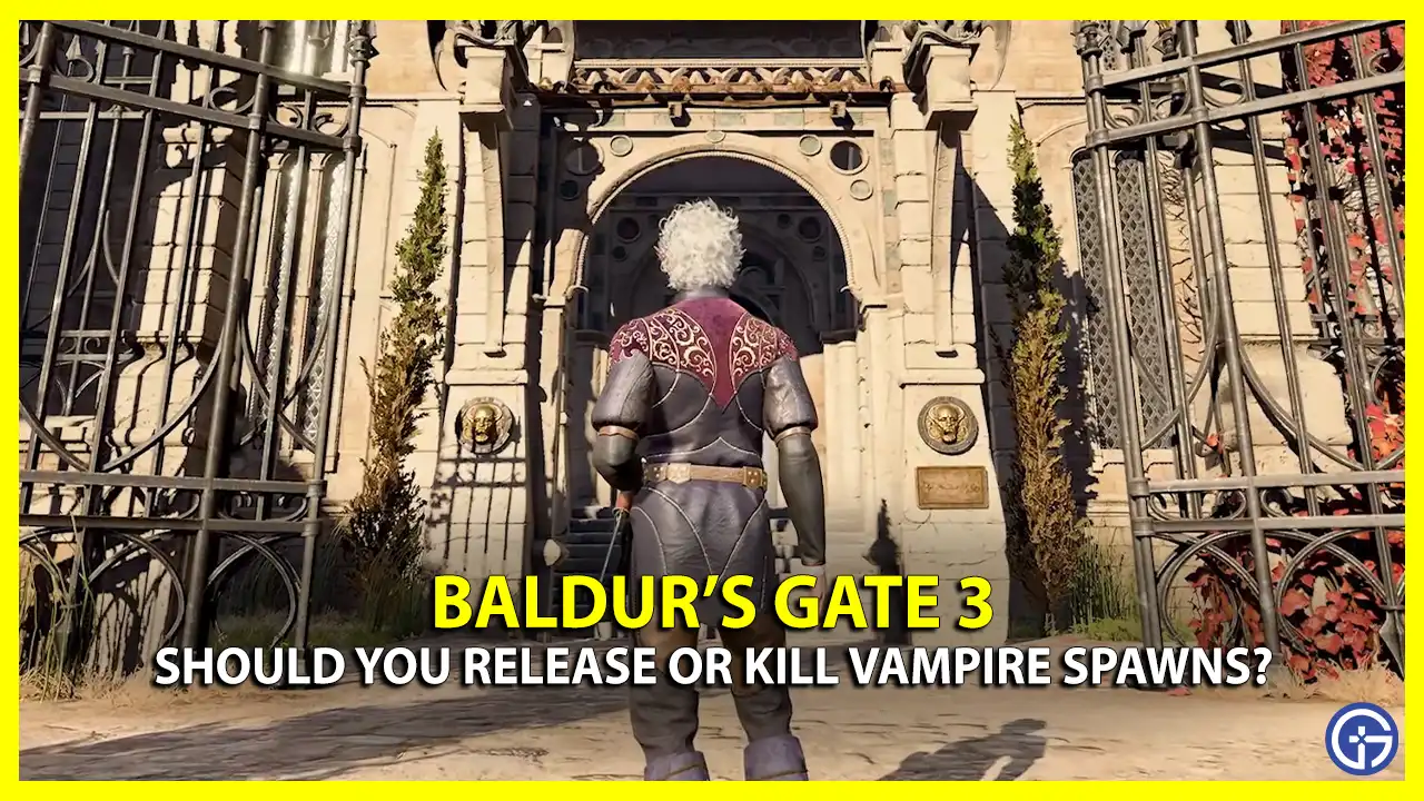 Should you Kill or Release Vampire Spawns in Baldurs Gate 3