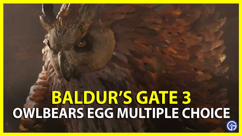 BG3 Owlbear Egg