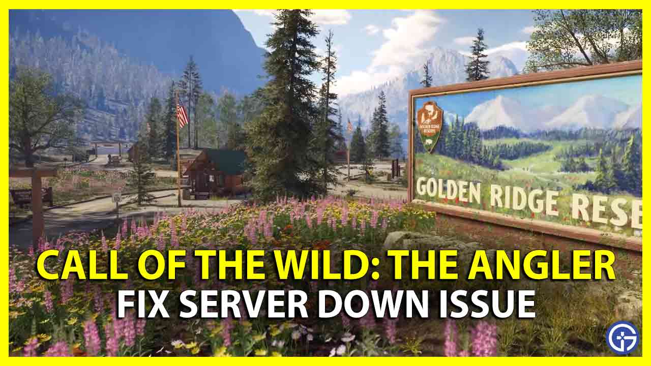fix server down issue call of the wild the angler