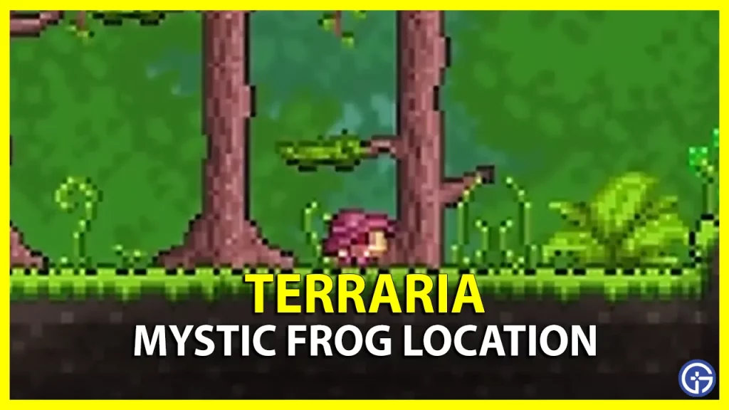 How To Catch Mystic Frog In Terraria