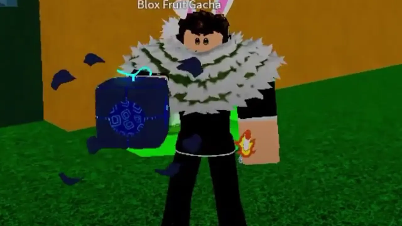 How To Get Portal Fruit In Blox Fruits