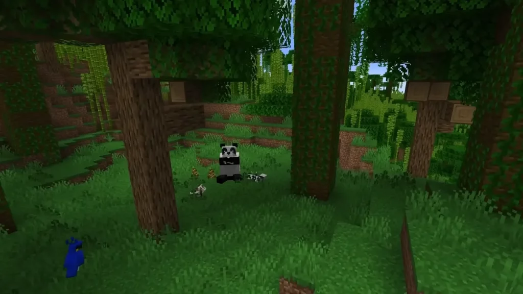 Jungle Minecraft Biomes
