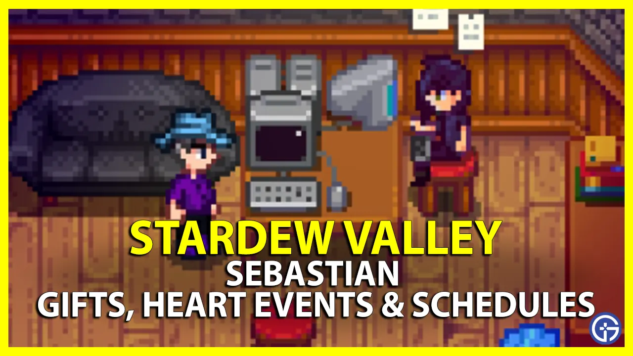 Stardew Valley Sebastian