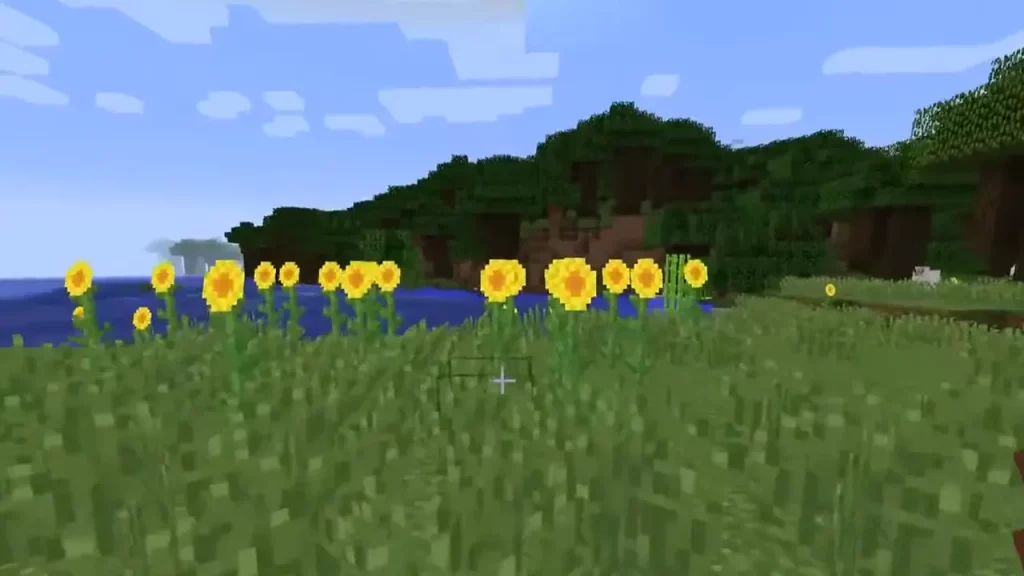 Sunflower Plains Minecraft Biomes