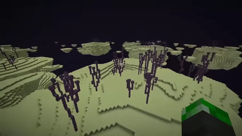 The End Minecraft Biomes