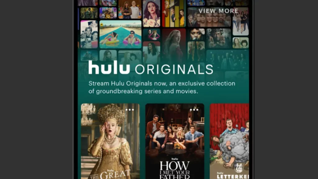 Fixes for the Hulu Switch Profile Error