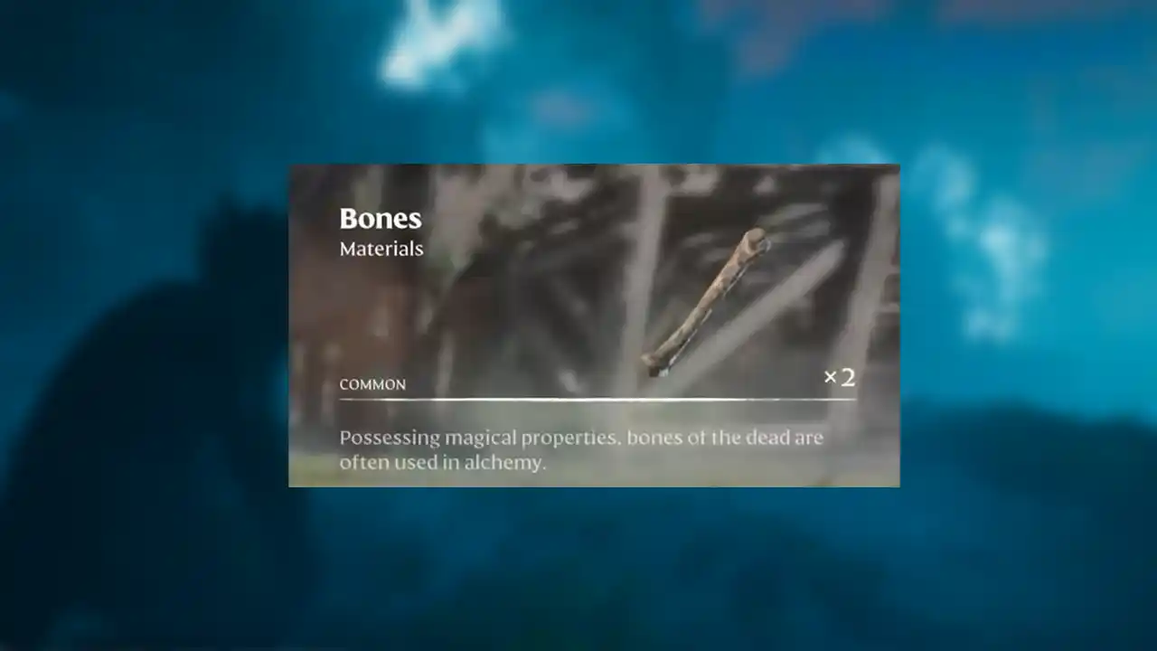 Bones can be used while crafting many early-game items in Enshrouded