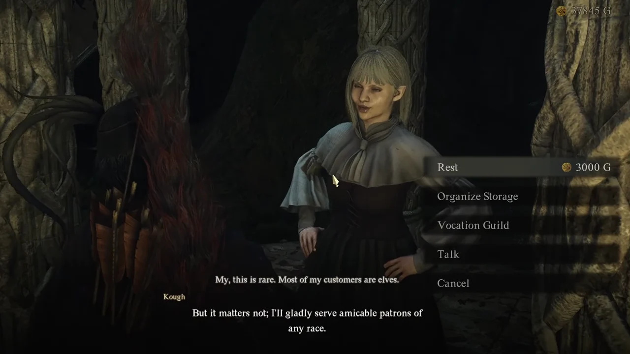 Dragon's Dogma 2 How To Learn Elvish In DD2