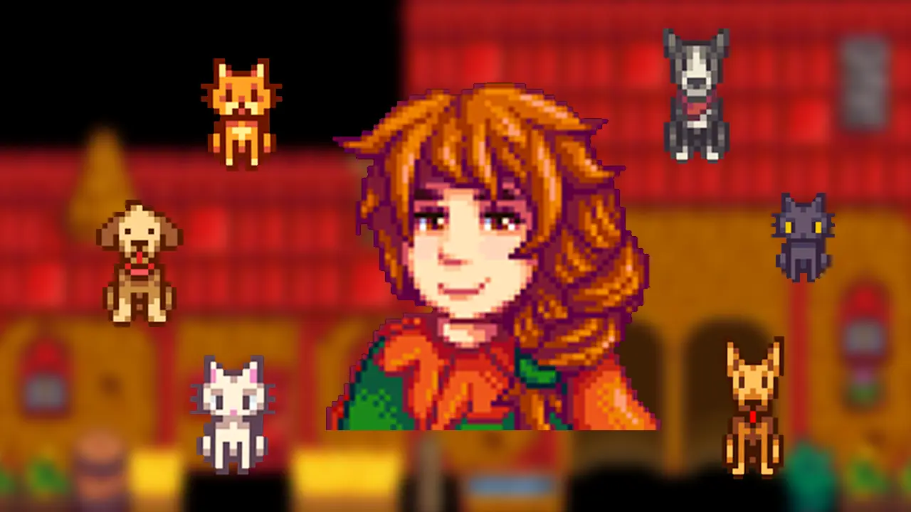 How To Get More Pets In Stardew Valley