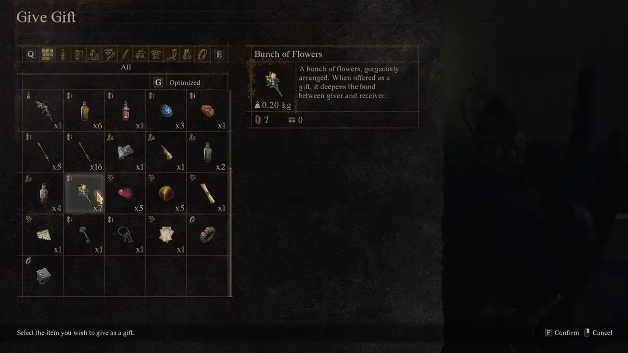 How To Teach Elvish To Your Main Pawn In Dragon's Dogma 2