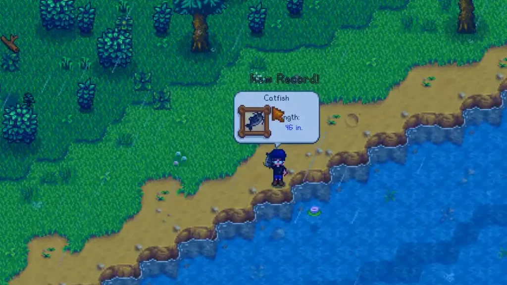 How to Catch the Catfish in Stardew Valley