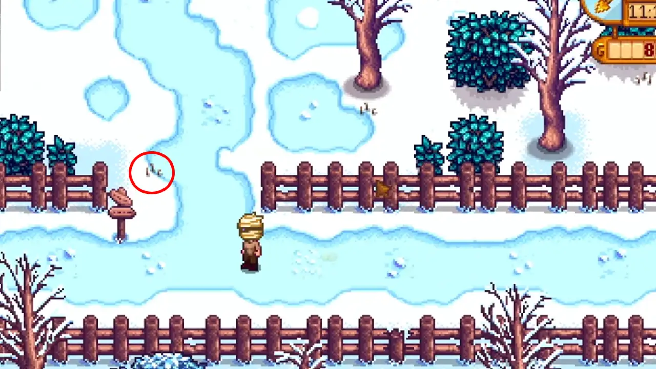 finding the Powdermelon Seed in Stardew Valley