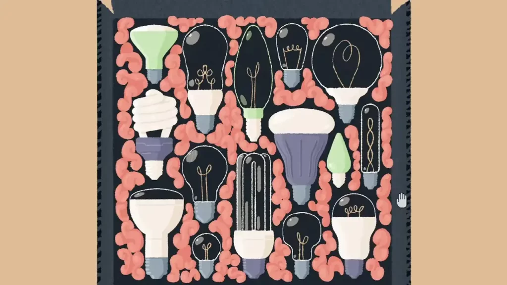 arranging bulbs