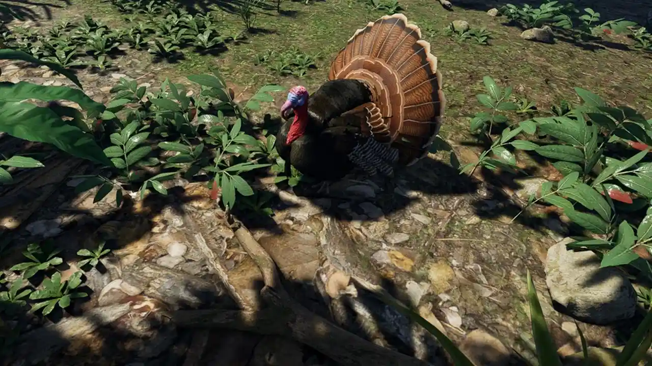 How To Catch And Tame Turkey In Soulmask