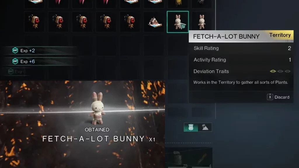 fetch a lot bunny once human