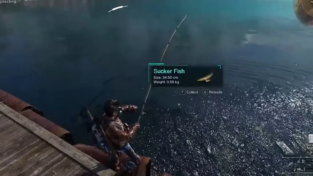 how to fish in once human