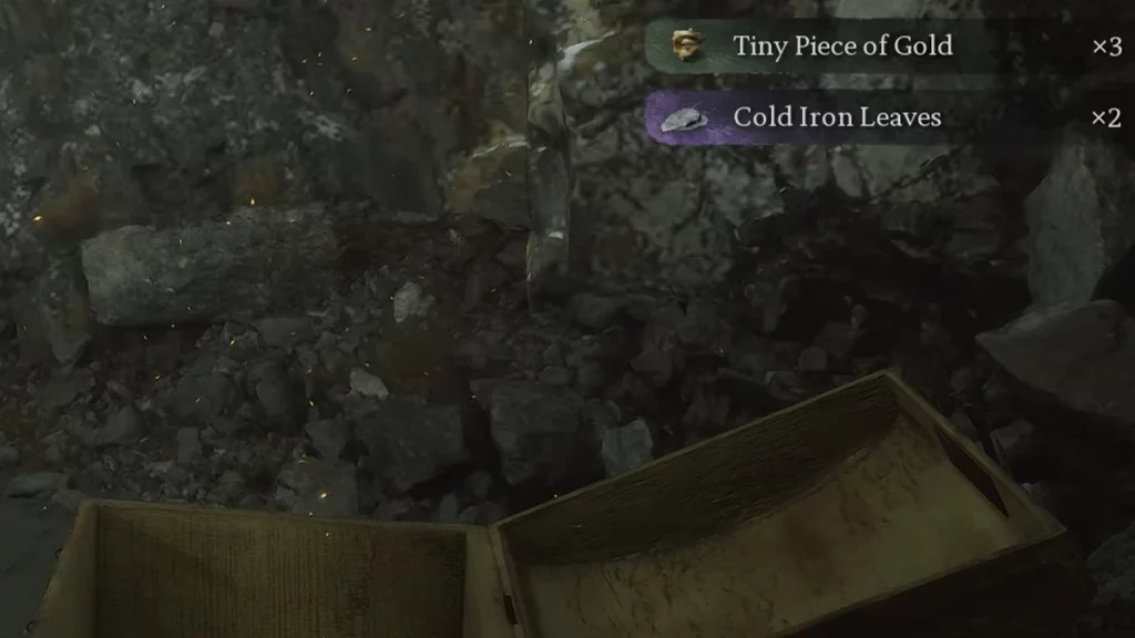 cold iron leaves from chests in black myth wukong