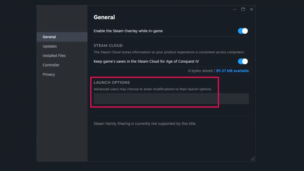 steam launch options window