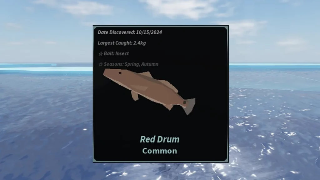 red drum fisch bait and season